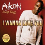 Akon - I Wanna Love You